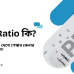 pe ratio ki
