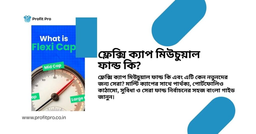 flexi cap mutual fund