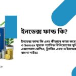 index fund