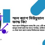 small cap mutual fund